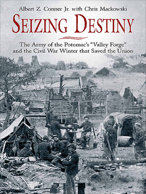 Title details for Seizing Destiny by Albert Z. Conner - Available